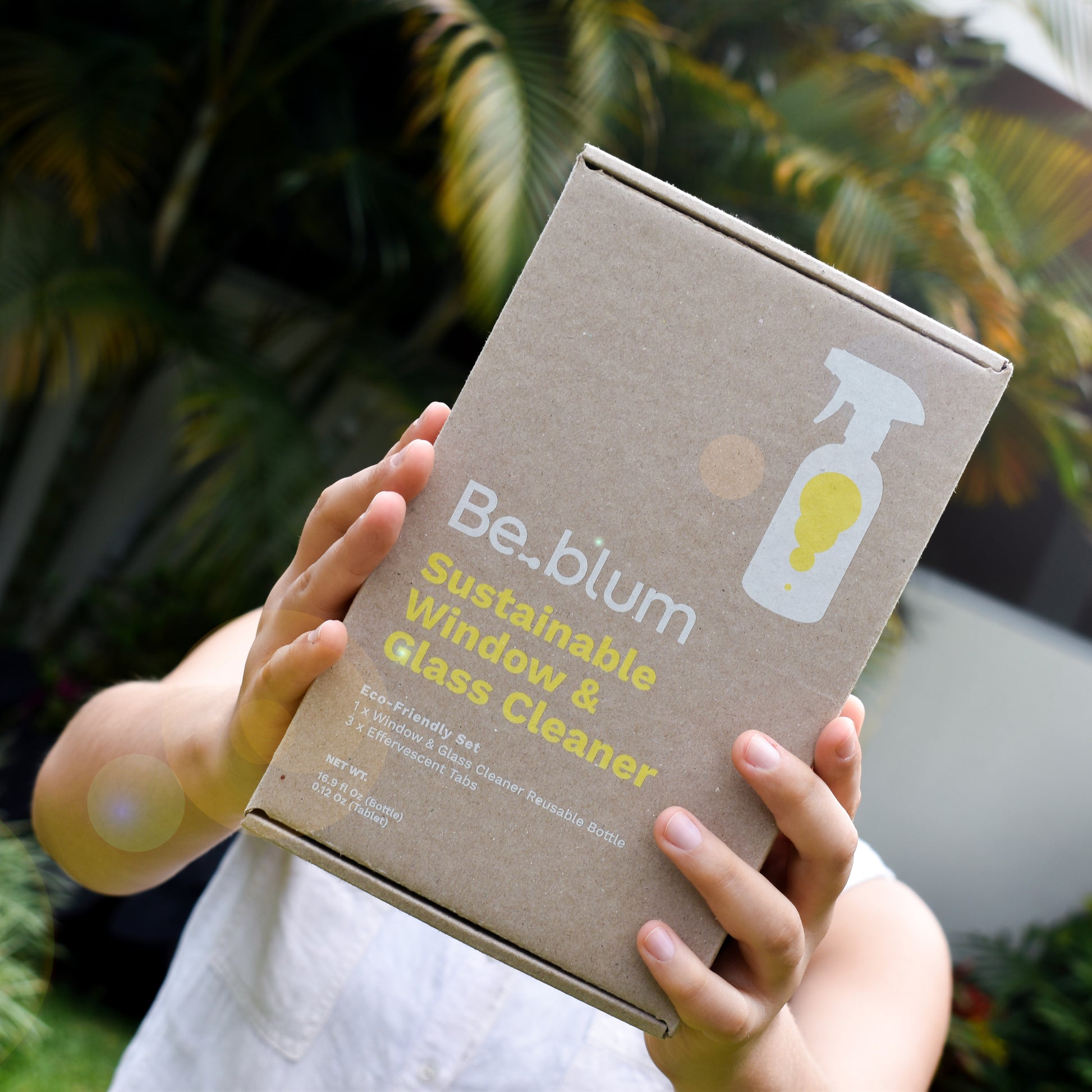 Eco-Friendly Windows & Glass Cleaning Kit